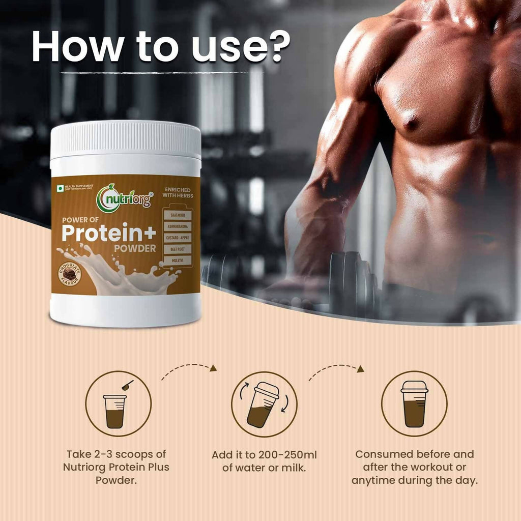 Nutriorg Protein Plus Chocolate Flavor Powder | Grocsy