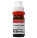 Dr. Reckeweg Sambucus Can Dilution | Grocsy