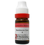 Dr. Reckeweg Sambucus Can Dilution | Grocsy