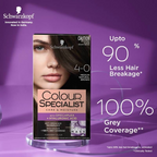Schwarzkopf Colour Specialist Permanent Hair Colour - 4.0 Medium Natural Brown | Grocsy