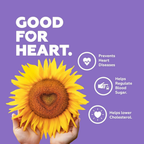 Yoga Bar Seeds Combo – Chia, Flax, Sunflower & Pumpkin Seeds | Grocsy