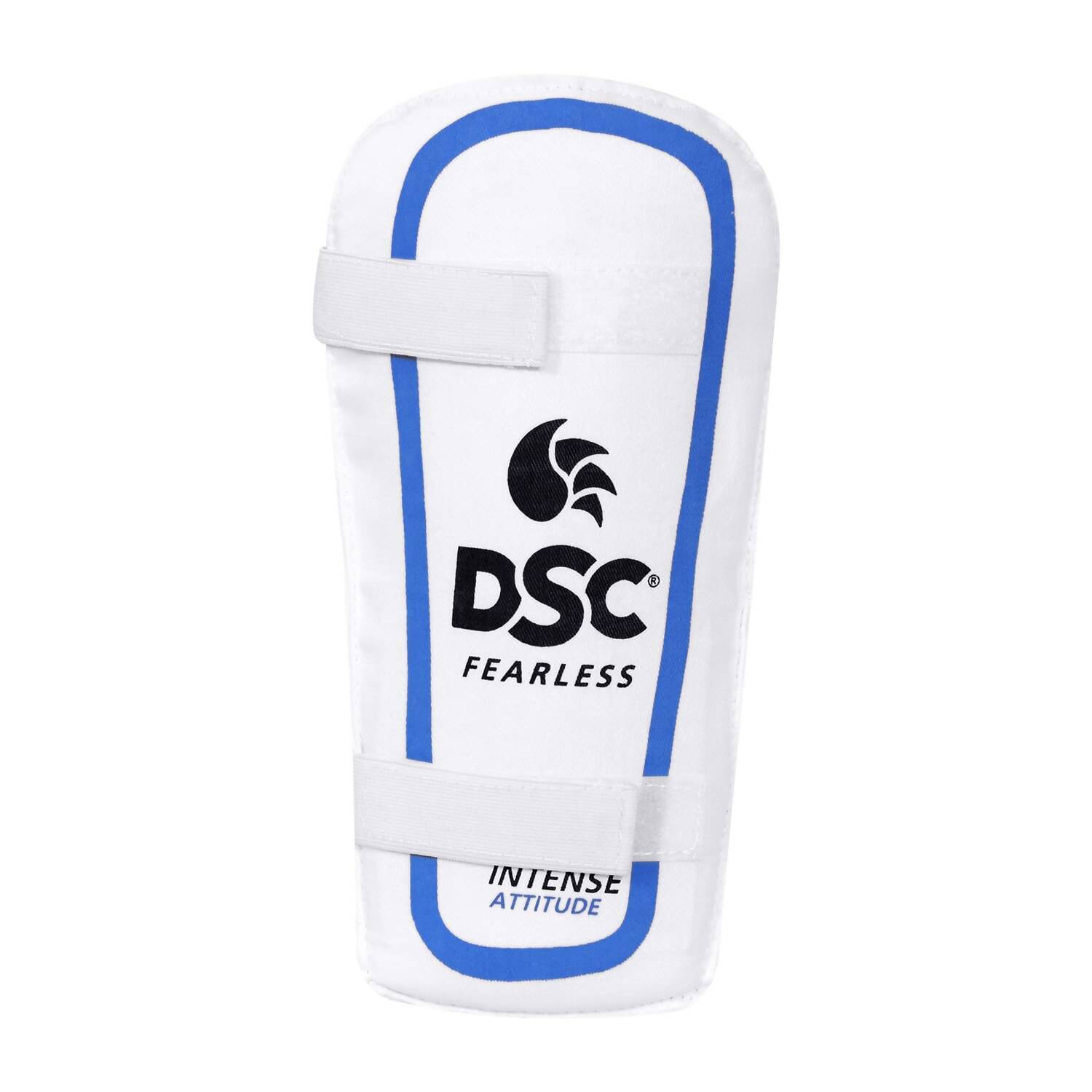 DSC Economy Kashmir Willow Cricket Kit (Size 5)