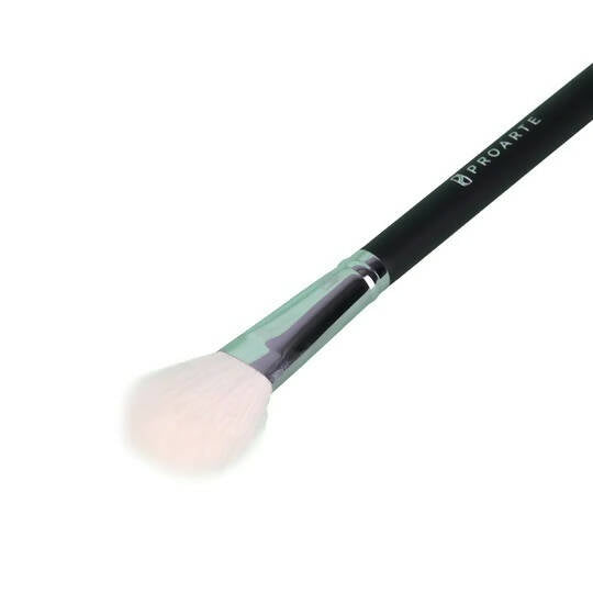 Proarte FBlush Brush PF-55 | Grocsy