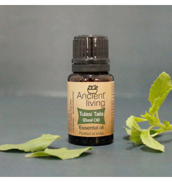Ancient Living Tulasi Taila (Basil Oil) Essential Oil | Grocsy