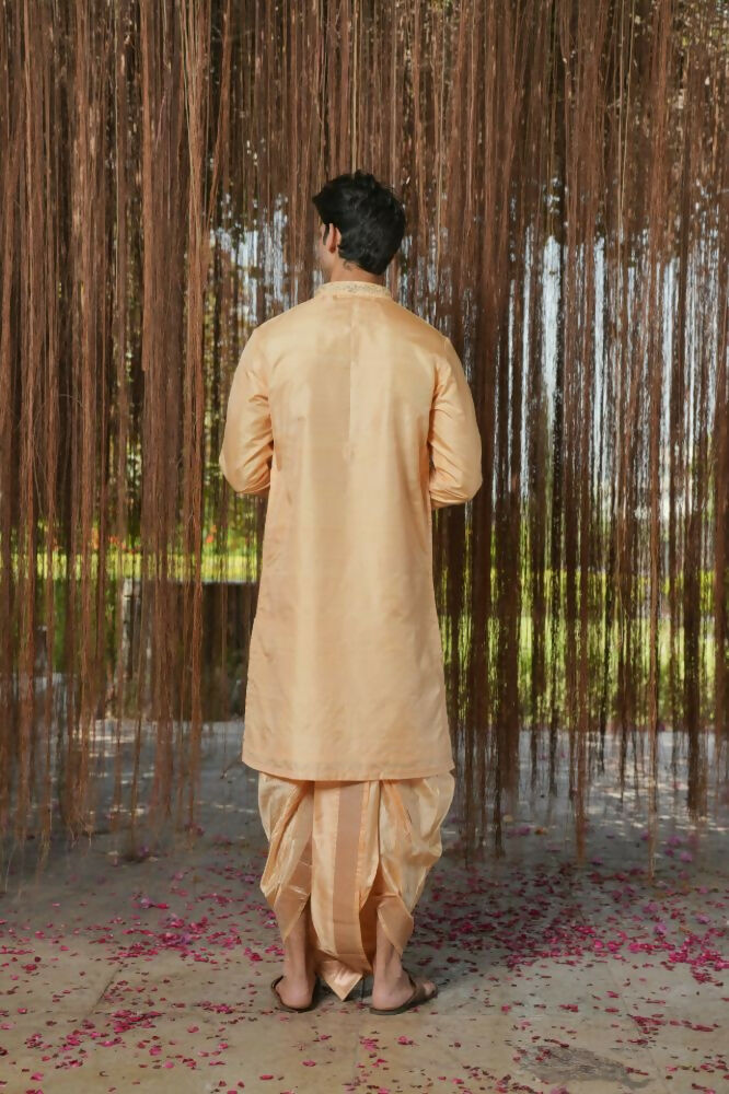 Tan Kanjivaram Hand Embroidered Pattu Set by Hilo Design | Grocsy
