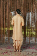 Tan Kanjivaram Hand Embroidered Pattu Set by Hilo Design | Grocsy