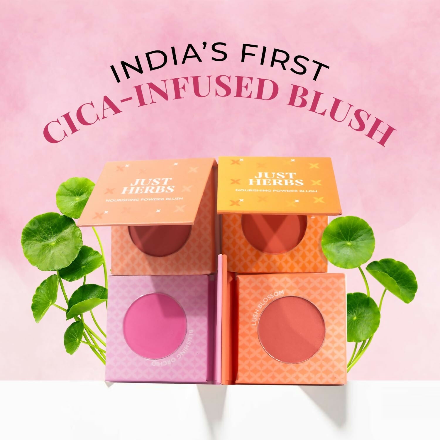 Just Herbs Nourishing Powder Blush - Lush Blossom | Grocsy