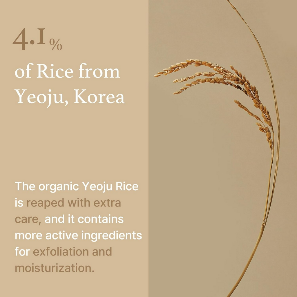 I'm From Korea Rice Mask | Grocsy