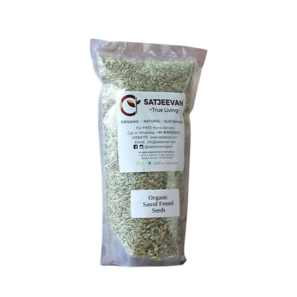 Satjeevan Organic Saunf Fennel Seeds | Grocsy