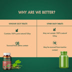 Baidyanath Vansaar Giloy Tablets | Grocsy