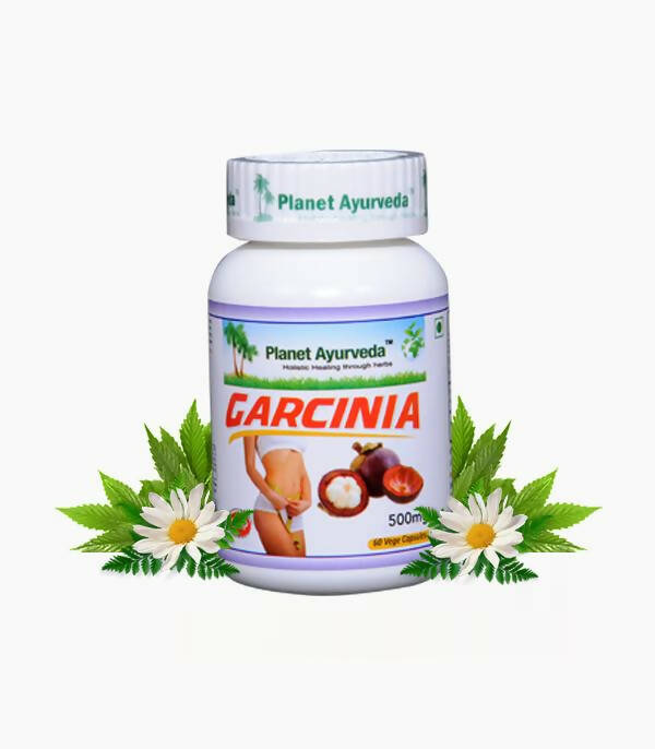 Planet Ayurveda Garcinia Capsules | Grocsy