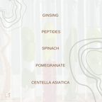 Auguste Skin FloraFusion Revitalizing Day Cream | Grocsy