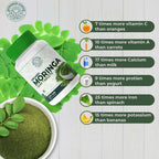 MORING-LEAF-TAB-120-3