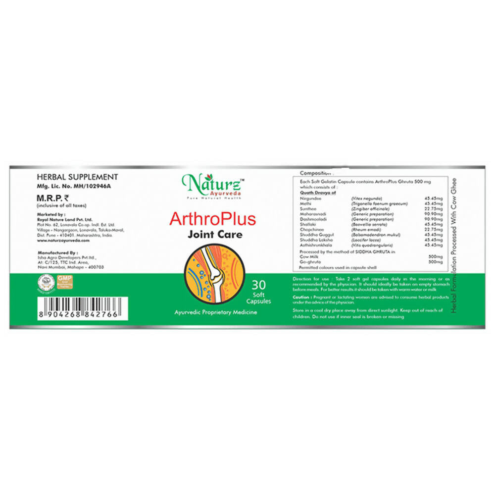 Naturz Ayurveda Arthro Plus Joint Care Capsules | Grocsy