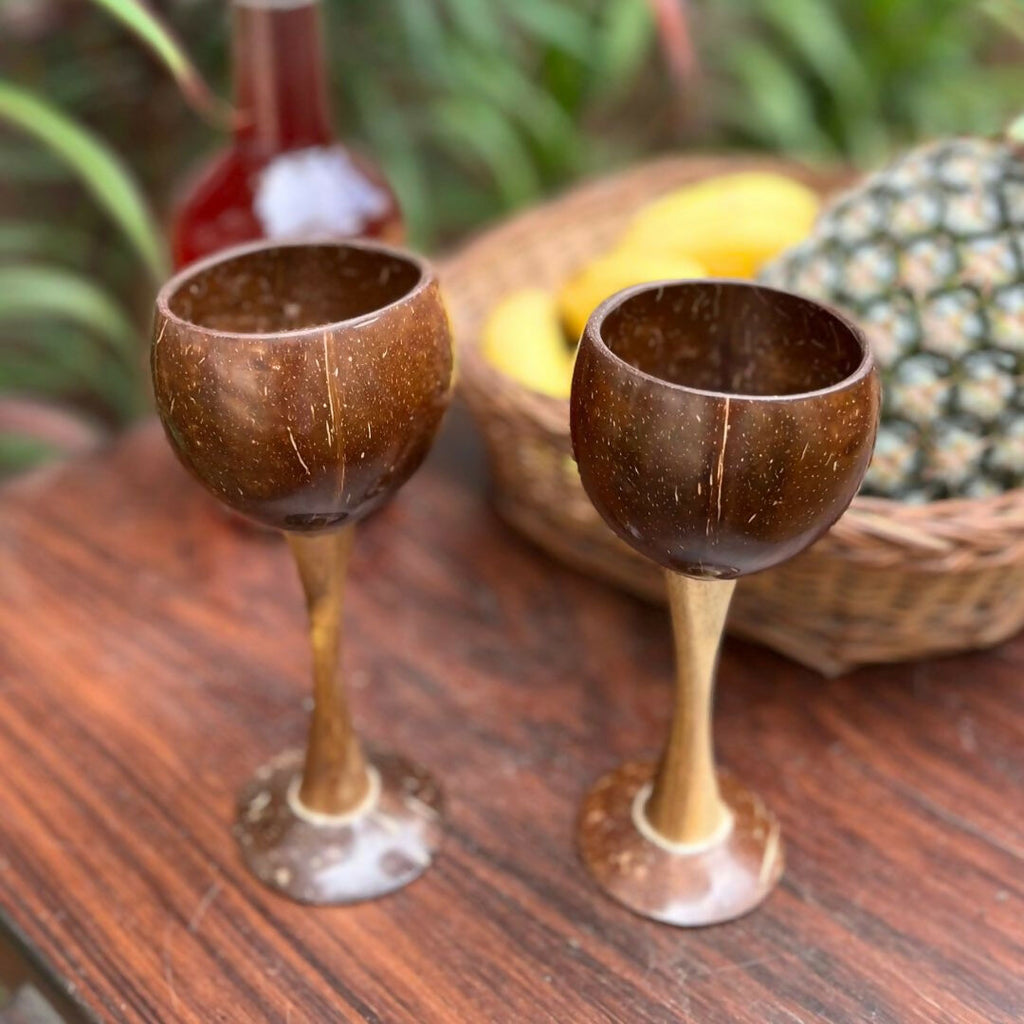 Thenga Coconut Shell & Wooden Wine Glasses | Grocsy