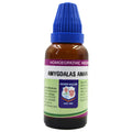 Father Muller Amygdalus Amara Mother Tincture Q | Grocsy