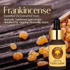 Old Tree Frankincense Essential Oil | Grocsy