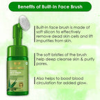 Wow Skin Science Aloe Vera Foaming Face Wash | Grocsy