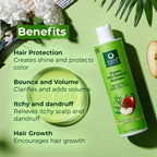 Organic Harvest Organic Anti Dandruff Shampoo With Tea Tree & Apple Cider Vinegar | Grocsy
