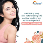 Dr. Morepen Pure & Natural Rose Water Spray | Grocsy