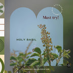 Organic AyurveGrocsyn Tulsi Powder | Grocsy