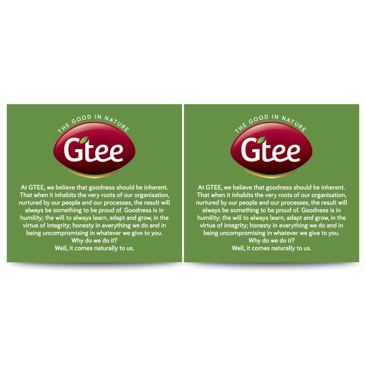 Gtee Green Tea Bags - Regular | Grocsy