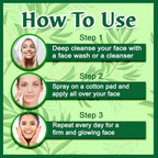 VedicAyurveda Tea Tree Hydrosol Skin Toner | Grocsy