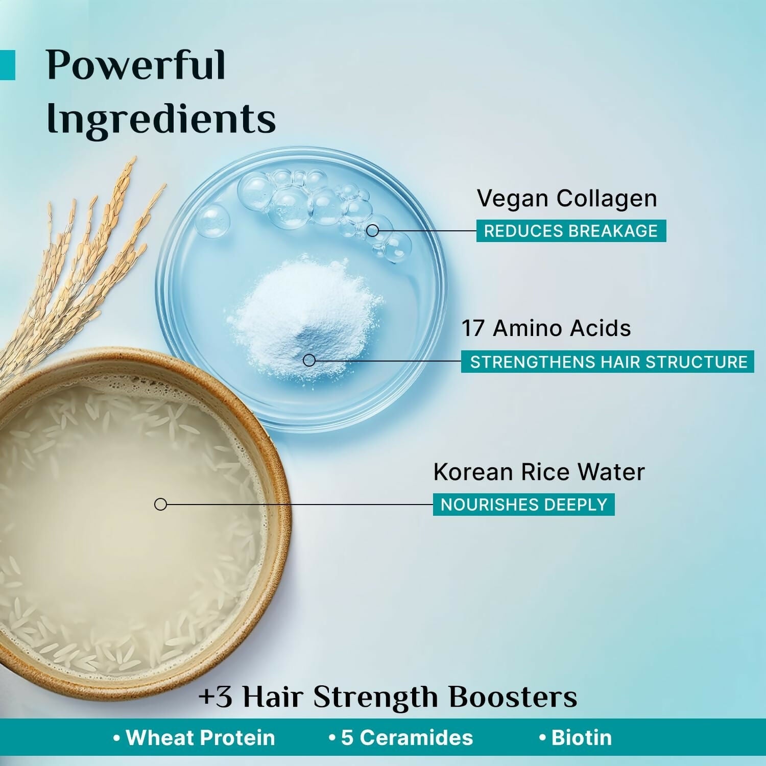 Pilgrim Korean Rice Water & Collagen Advanced Damage Repair Shampoo | Grocsy