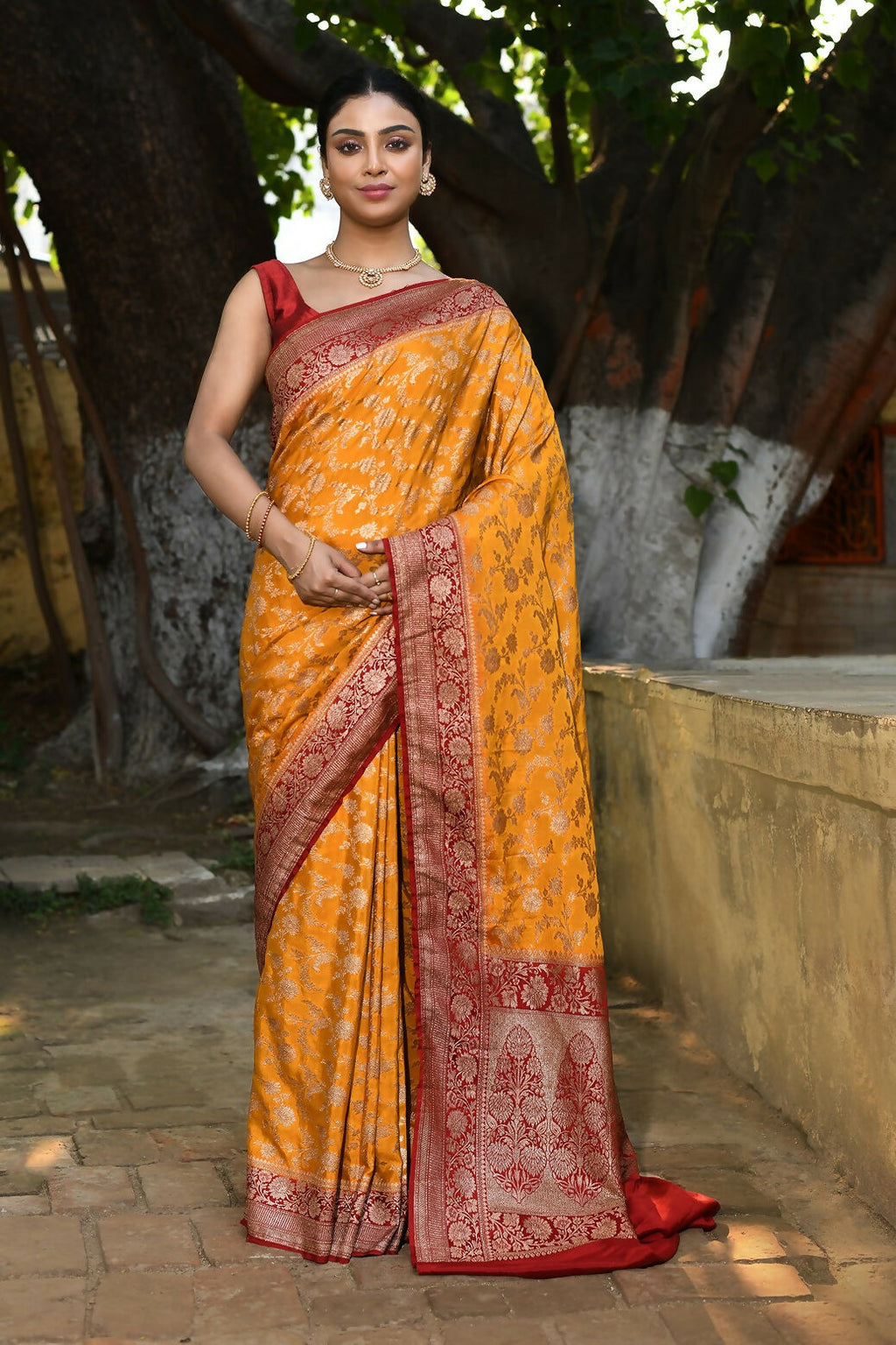 Joban Fashion Gold Crepe Chiffon Pure Handloom Banarasi Silk Saree | Grocsy