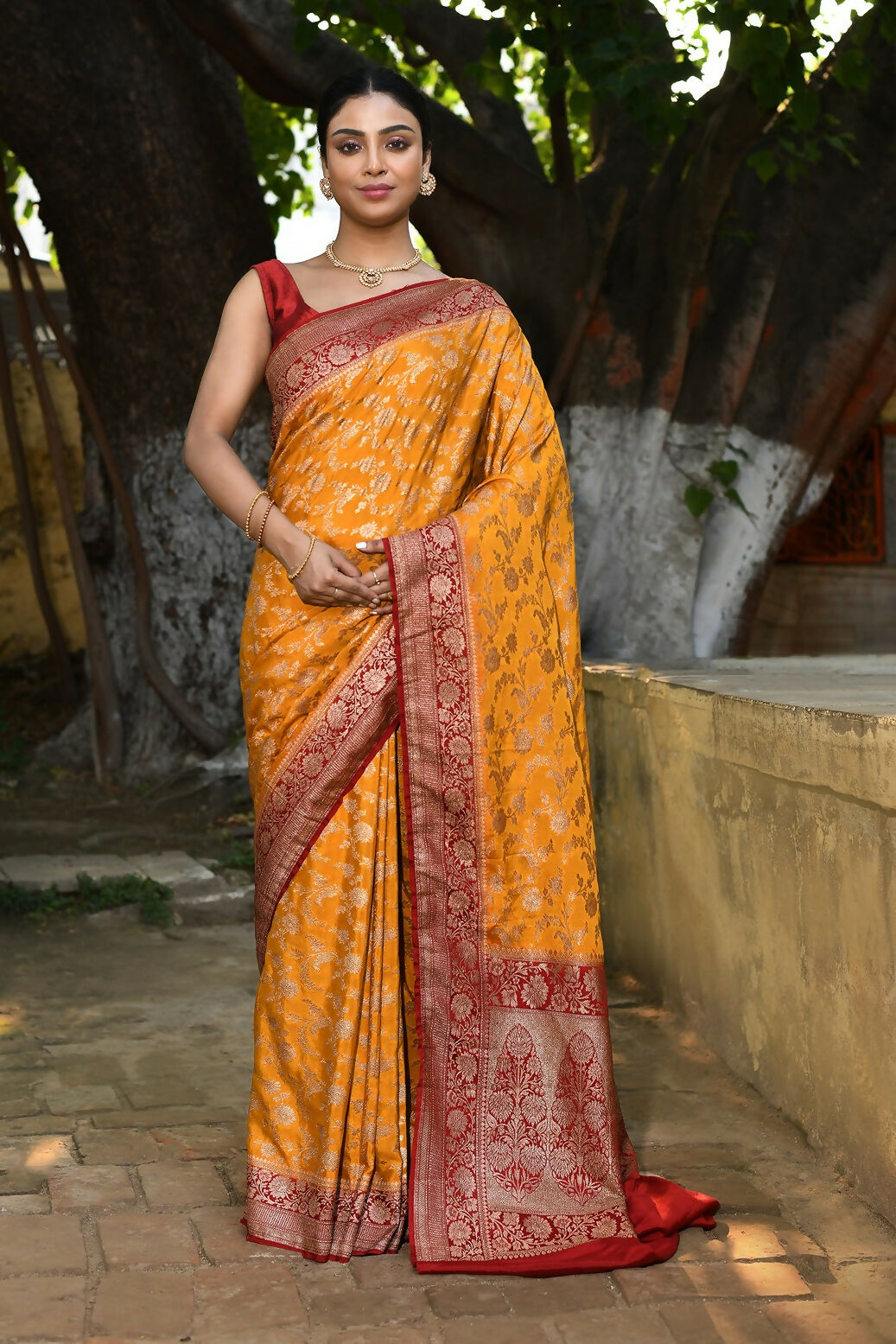 Joban Fashion Gold Crepe Chiffon Pure Handloom Banarasi Silk Saree | Grocsy