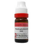 Dr. Reckeweg Hydrophobinum Dilution | Grocsy
