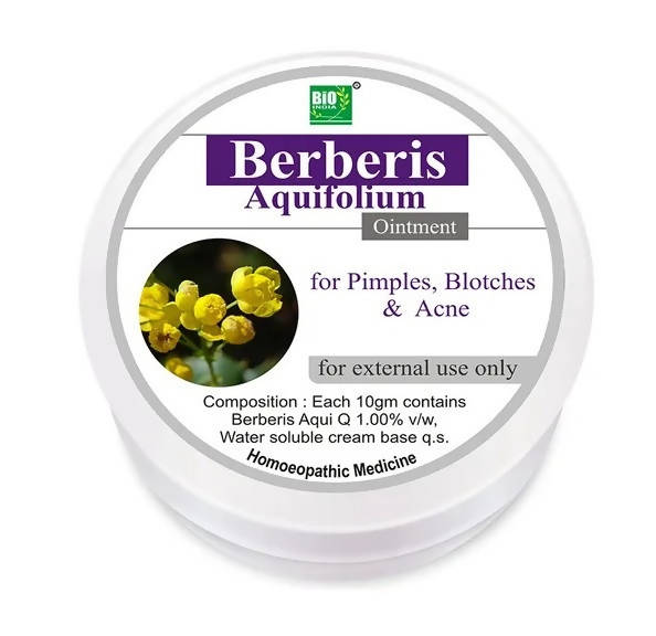 Bio India Homeopathy Berberis Aquifolium Ointment | Grocsy