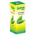 Dehlvi Gastreen Syrup with Mint | Grocsy