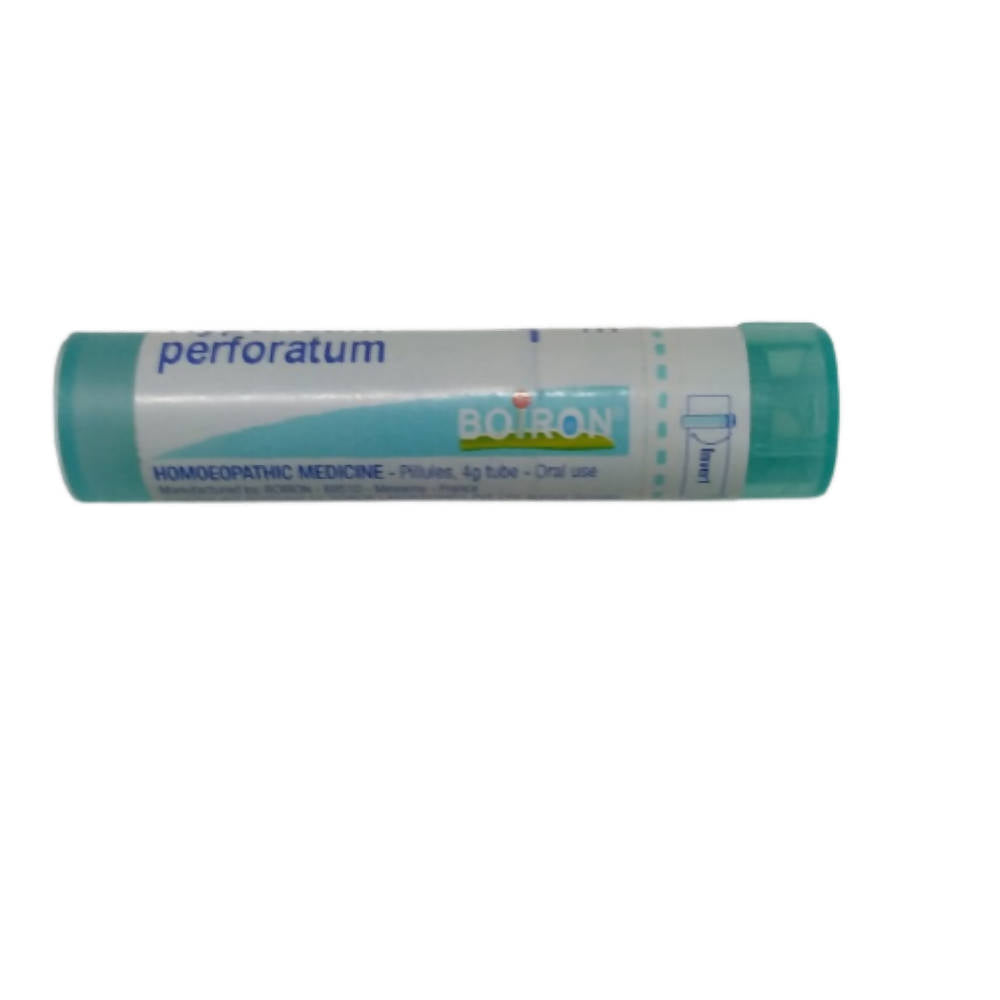 Boiron Homeopathy Hypericum Perforatum 6C | Grocsy
