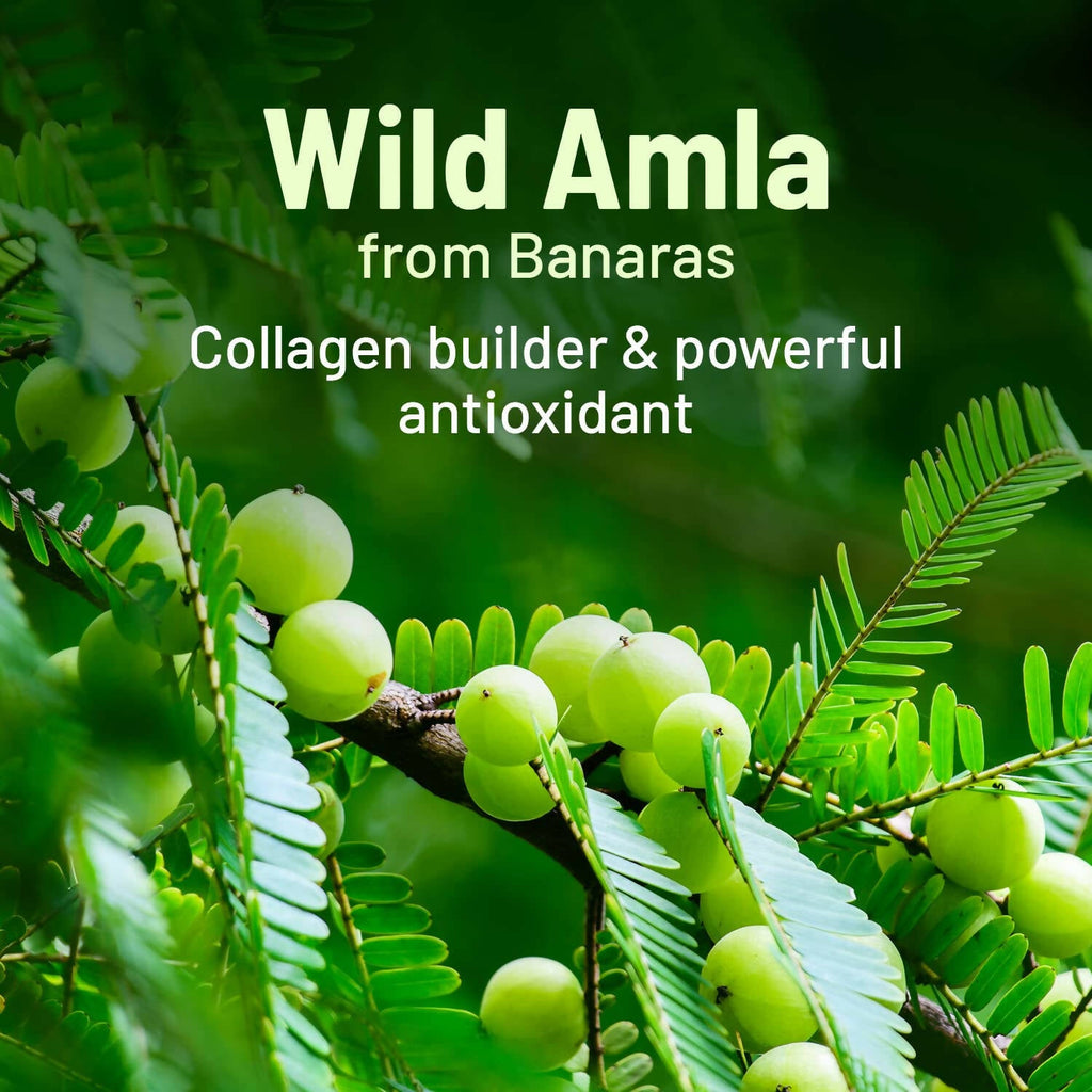 Gynoveda Amla Vitamin C Face Serum | Grocsy
