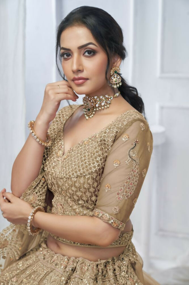 Kesar Fab Brown Net Embroidered Lehenga | Grocsy