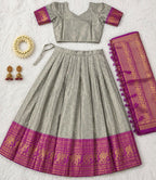 Teeya Creation Grey Traditional Lehenga Choli Set Featuring Intricate Purple and Gold Zari Detailing | Grocsy