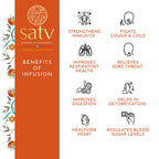 Satv Immunity Herbal Tea Bags | Grocsy