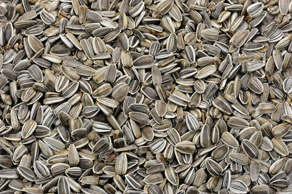 Freshon Organic Sunflower Seeds | Grocsy