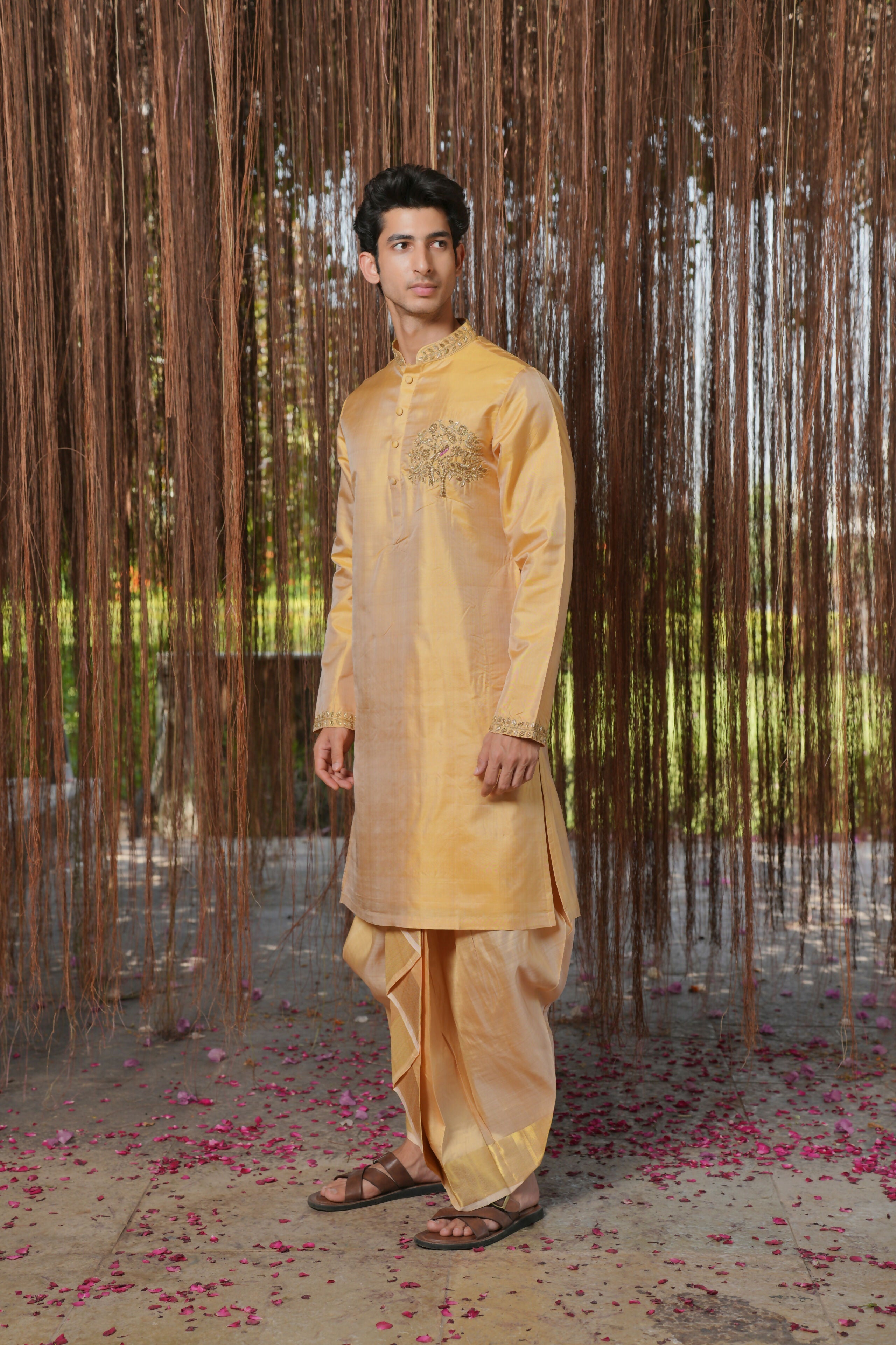 Gold Mirage Kanjivaram Machien Embroidered Pattu Set by Hilo Design | Grocsy