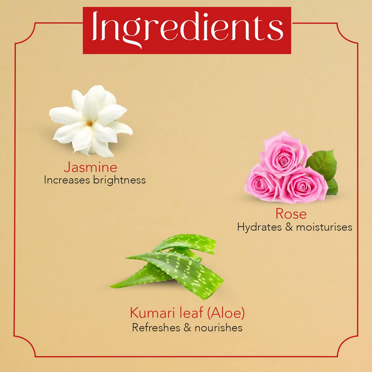Sara Soul of Beauty Rose & Jasmine Face Cleanser For All Skin Types | Grocsy