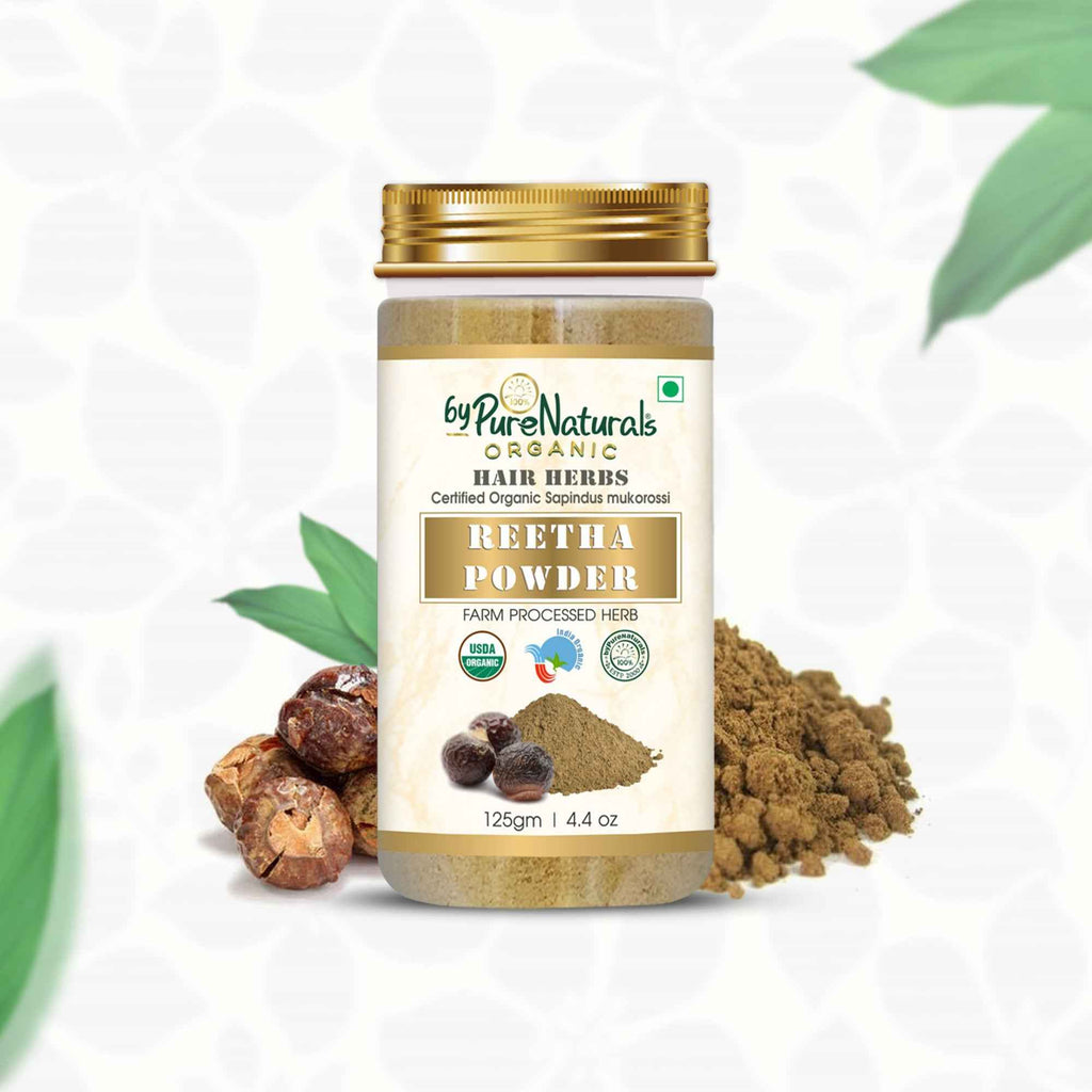 byPureNaturals Organic Reetha Powder | Grocsy