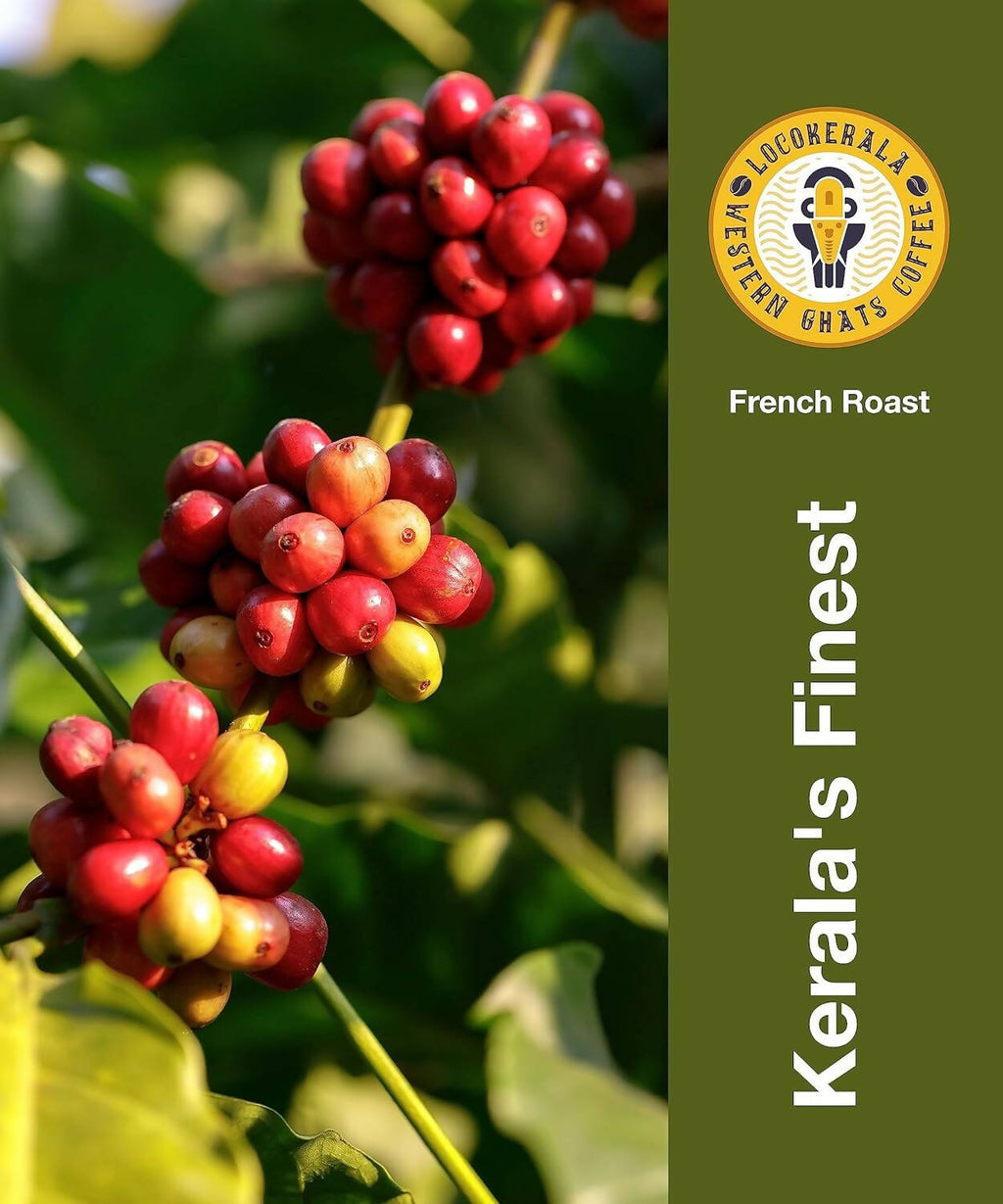 LocoKerala Western Ghats French Roast Arabica Whole Bean Coffee | Grocsy