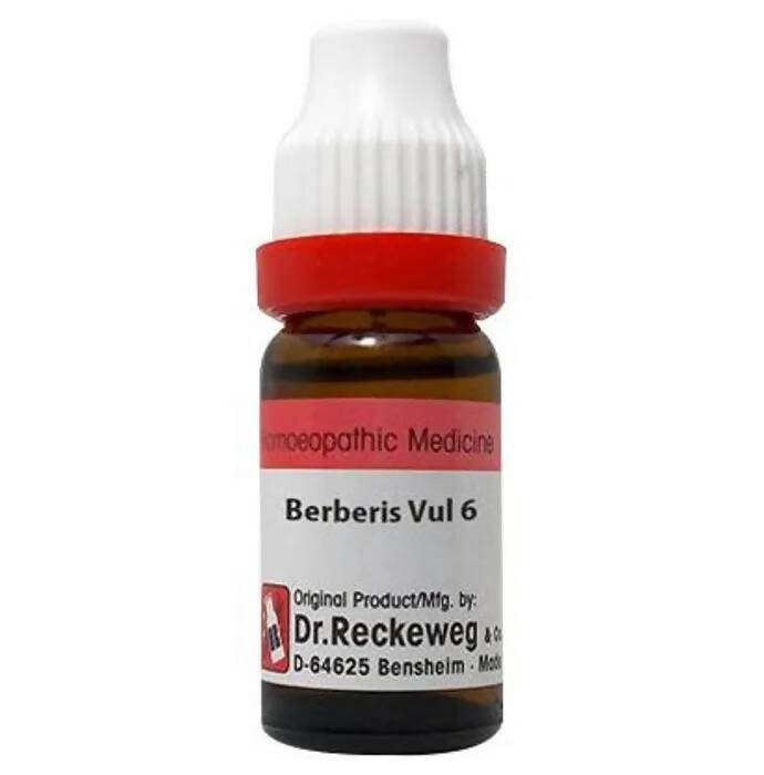Dr. Reckeweg Berberis Vul Dilution | Grocsy