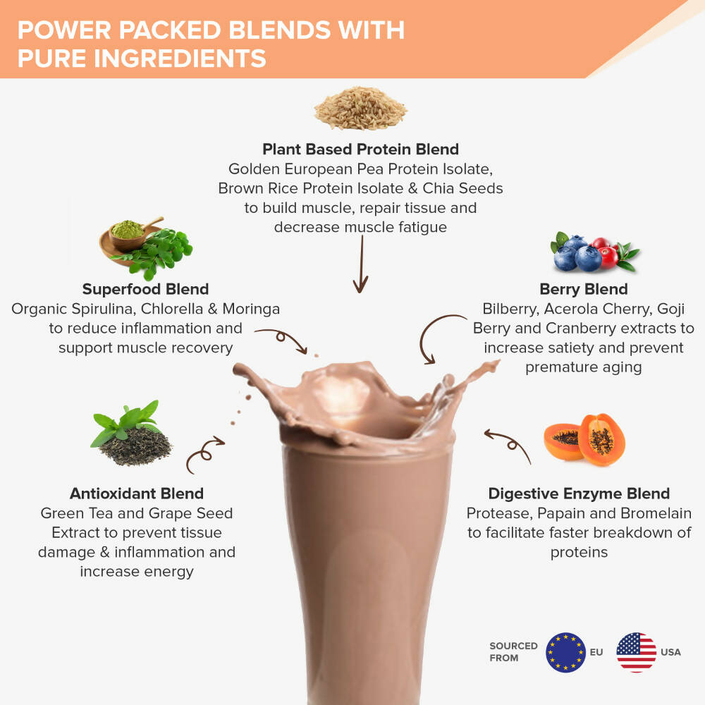 Wellbeing Nutrition Superfood Plant Protein-Dark Chocolate Hazelnut | Grocsy