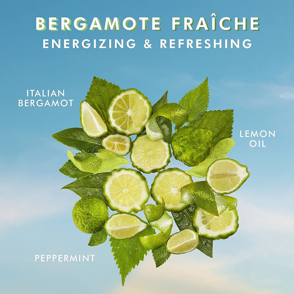 Moroccanoil Hand Cream Bergamot Fraiche | Grocsy