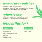 PLIX The Plant Fix Salicylic Acid Acne Patch | Grocsy