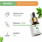 Naturalis Essence of Nature Camphor Essential Oil | Grocsy