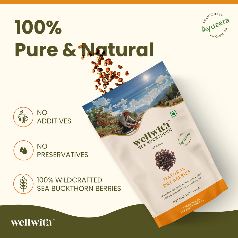 Wellwith Sea Buckthorn Dry Berry | Grocsy