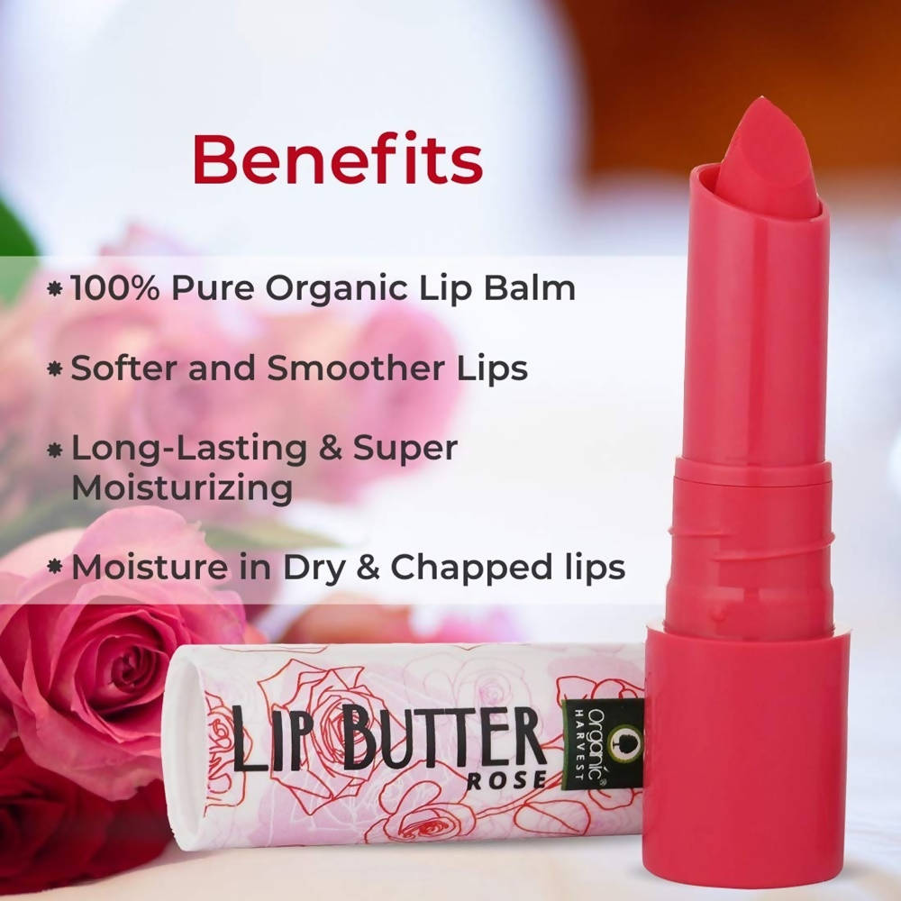 Organic Harvest Lip Butter (Rose) | Grocsy